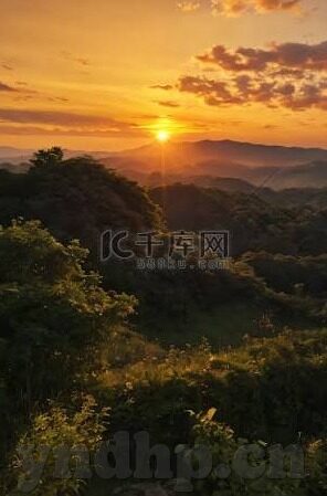 果冻传媒全集-探索果冻传媒全集的多元魅力与文化价值