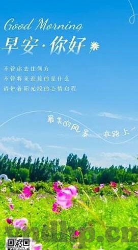 麻豆av在线网站-麻豆，文化现象的探索