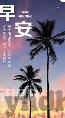 麻豆md0076免费观看视频-麻豆MD0076的影像艺术，透视真实与虚拟的边界