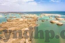 麻豆文化传媒app免费下载-「麻豆文化传媒APP」，免费邂逅，线上文化的多彩篇章