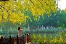 企业伦理学-塑造企业未来，企业伦理学的实践与价值