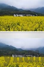 糖心vlog官网地址-揭秘时尚生活平台，糖心Vlog——你的创意生活指南