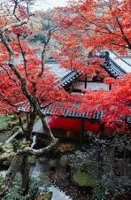 性色av麻豆色哟哟蜜桃臀-成人内容不宣，展现人文关怀与知识的力量